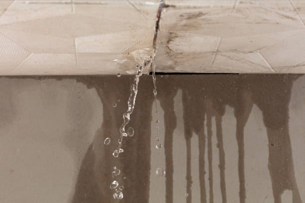 Professional Water Extraction technician working in Coram, NY